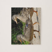 Maart van de Eenden Legpuzzel (Verticaal)