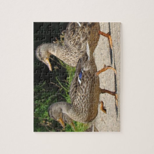 Maart van de Eenden Legpuzzel (Verticaal)