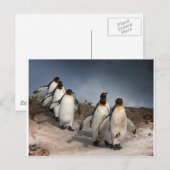 Maart van de pinguïns briefkaart (Voorkant / Achterkant)