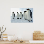 Maart van de pinguïns poster (Keuken)