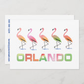 Maart van de Tropische Flamingos ORLANDO Kaart (Voorkant / Achterkant)