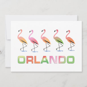 Maart van de Tropische Flamingos ORLANDO Kaart