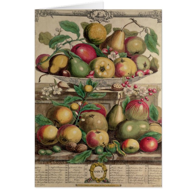 Maart, vanaf twaalf maanden fruit (Voorkant)