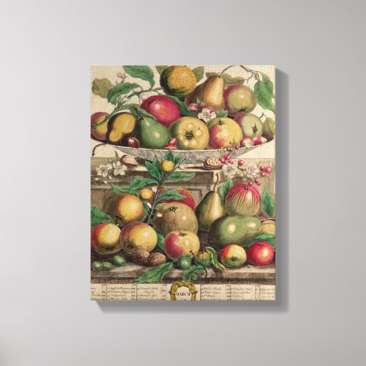 Maart, vanaf 'Twaalf maanden fruit' Canvas Afdruk (Voorkant)