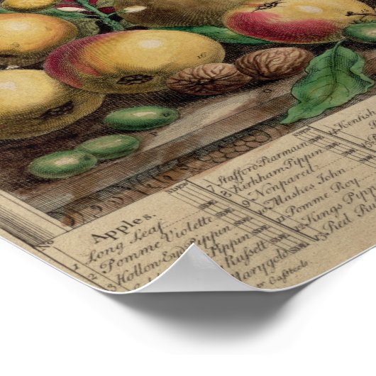 Maart, vanaf 'Twaalf maanden fruit' Poster (Hoek)