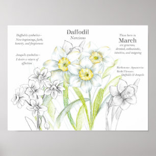 Maart Verjaardag Daffodils Geboorte Maand Bloem Poster