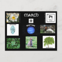 maart Vissen Verjaardag Briefkaart