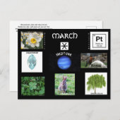 maart Vissen Verjaardag Briefkaart (Voorkant / Achterkant)