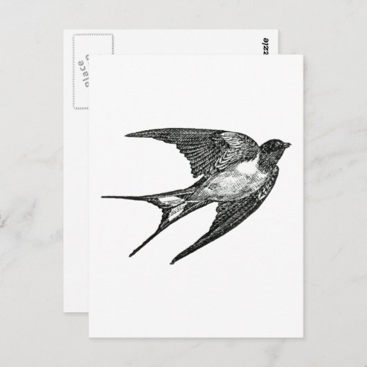 maas briefkaart (Voorkant / Achterkant)