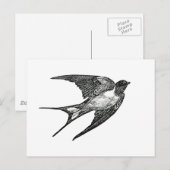 maas briefkaart (Voorkant / Achterkant)