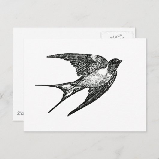 maas briefkaart (Voorkant / Achterkant)