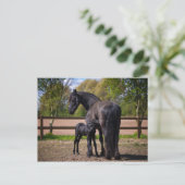 Maas en foel briefkaart (Staand voorkant)