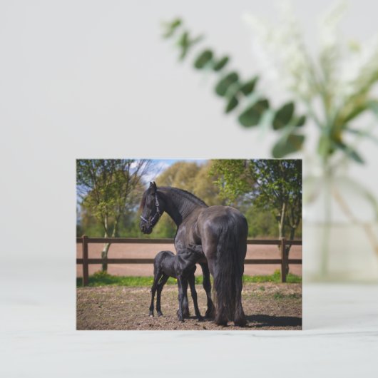 Maas en foel briefkaart (Staand voorkant)