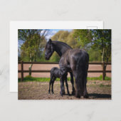 Maas en foel briefkaart (Voorkant / Achterkant)