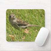 maas muismat (Met muis)