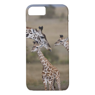 Maasai Giraffe (Giraffe Tippelskirchi) Case-Mate iPhone Case