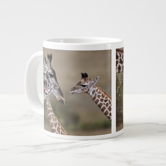 Maasai Giraffe (Giraffe Tippelskirchi) Grote Koffiekop (Links)