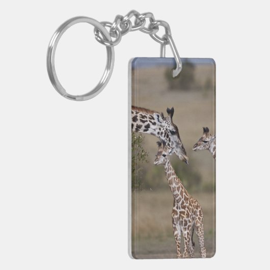 Maasai Giraffe (Giraffe Tippelskirchi) Sleutelhanger (Voorkant Links)