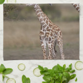 Maasai Giraffe (Giraffe Tippelskirchi) Theedoek (Gevouwen)