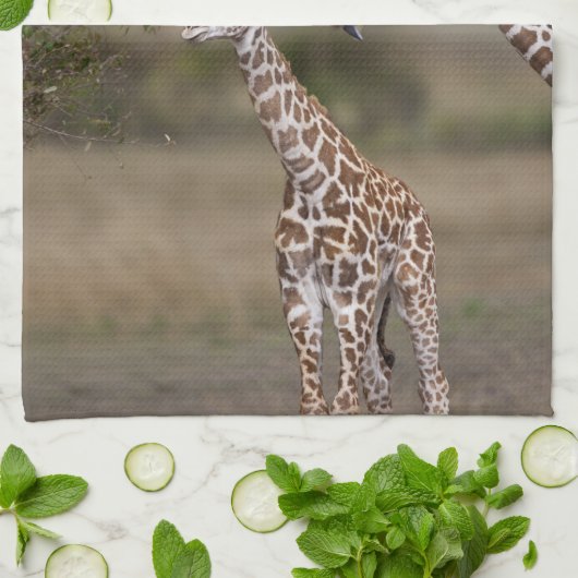 Maasai Giraffe (Giraffe Tippelskirchi) Theedoek (Gevouwen)