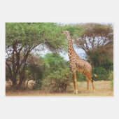 Maasai Giraffe Inpakpapier Vel (Voorkant 3)