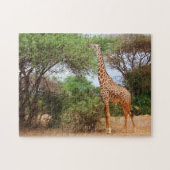 Maasai Giraffe Legpuzzel (Horizontaal)
