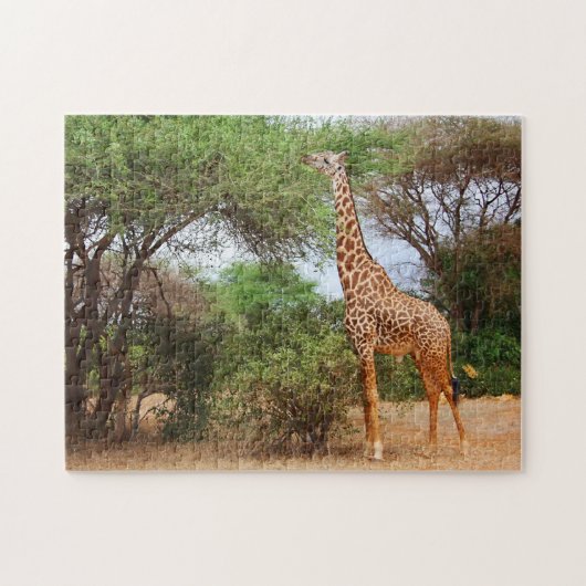 Maasai Giraffe Legpuzzel (Horizontaal)