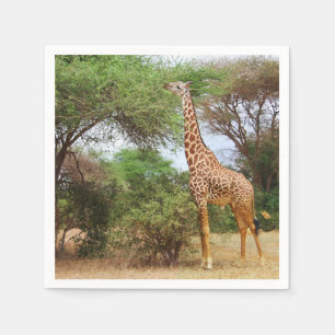 Maasai Giraffe Servetten
