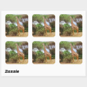 Maasai Giraffe Sticker (Vel)