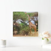 Maasai Giraffe Vierkante Klok (Huis)