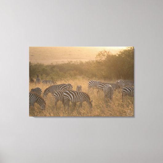 Maasai Morning Zebras Wrapped Canvas Print (Voorkant)
