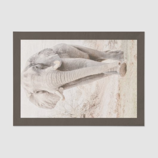 Maat Afrikaanse olifant foto Tissuepapier (Voorkant)