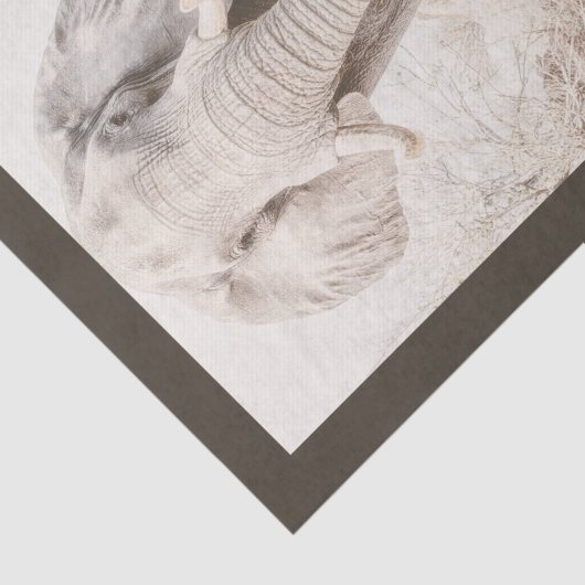 Maat Afrikaanse olifant foto Tissuepapier (Detail)