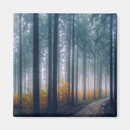 Maat bos, snijpad magneet (Voorkant)