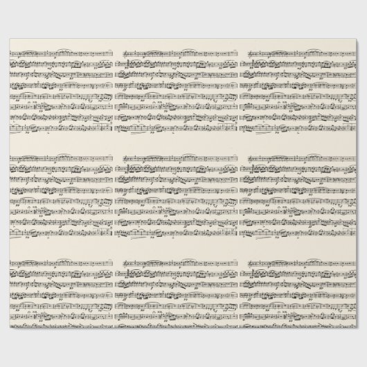 maatmuziek cadeaupapier (Vlak)