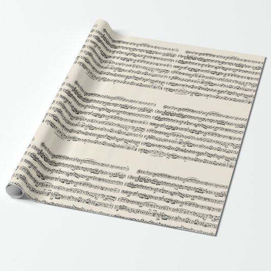 maatmuziek cadeaupapier (Uitgerold)