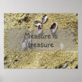 Maatregel is een schat wijsheid gezegde poster (Voorkant)