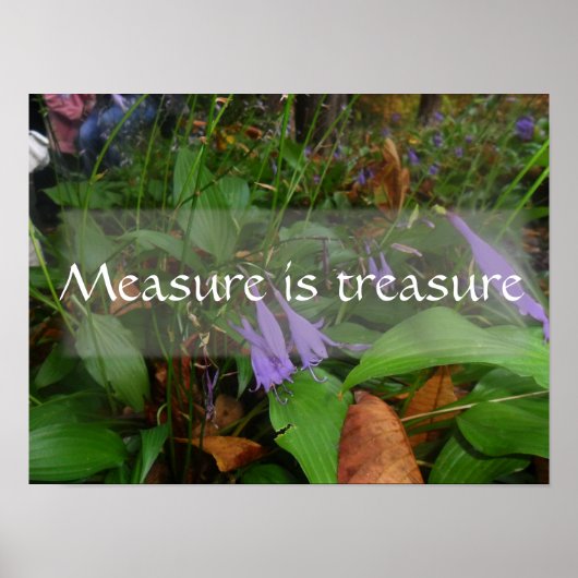 Maatregel is een schat wijsheid gezegde poster (Voorkant)