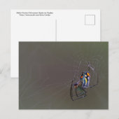 Mabel Orchard Orb-wever Briefkaart (Voorkant / Achterkant)