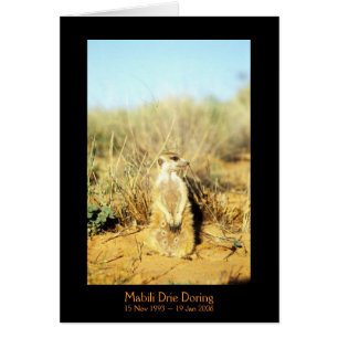 Mabili - Legends Card