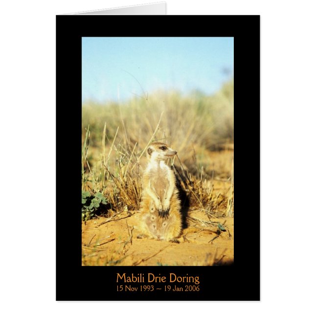 Mabili - Legends Card (Voorkant)