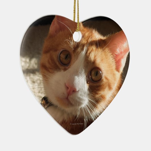 Mac Cat Photo Heart Ornament (Rechts)
