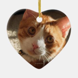 Mac Cat Photo Heart Ornament