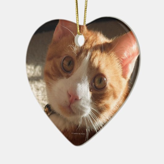 Mac Cat Photo Heart Ornament (Links)