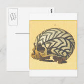 Macabre: Skull - Nieuw-Guinea Briefkaart (Voorkant / Achterkant)