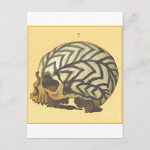 Macabre: Skull - Nieuw-Guinea Briefkaart