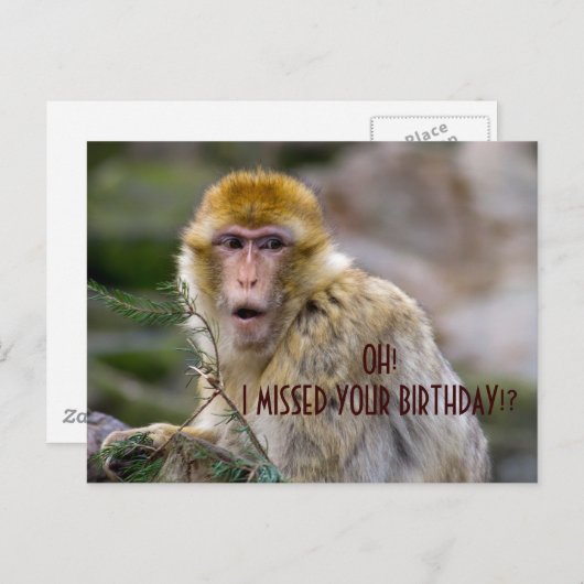 Macaca sylvanus briefkaart (Voorkant / Achterkant)