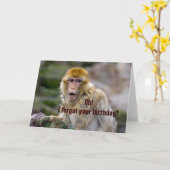 Macaca sylvanus kaart (Gele Bloem)