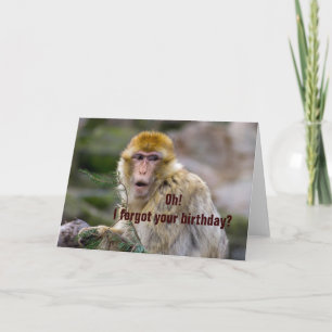 Macaca sylvanus kaart