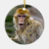 Macaca sylvanus keramisch ornament (Voorkant)